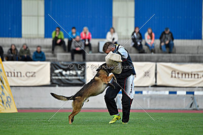 Ghandi from Mike`s Place